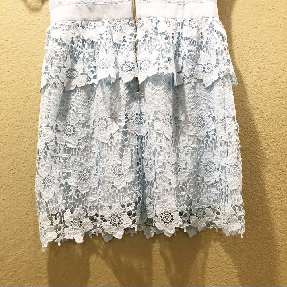 Ted Baker Dixa Layered Lace Skater Dress - Picture 6 of 15